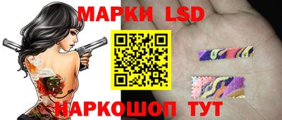 гидра Камышлов