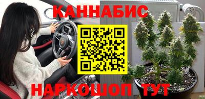 mdpv Кингисепп