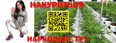 гидра Камышлов
