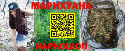 гидра Камышлов