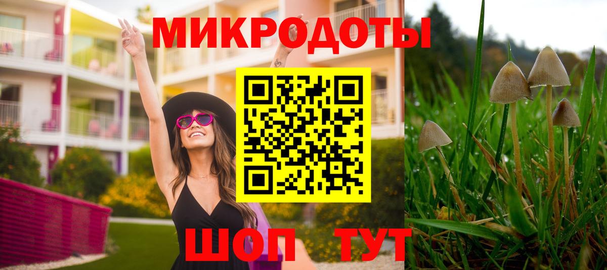 Североморск  Галлюциногенные грибы ЛСД  Вход с VPN 