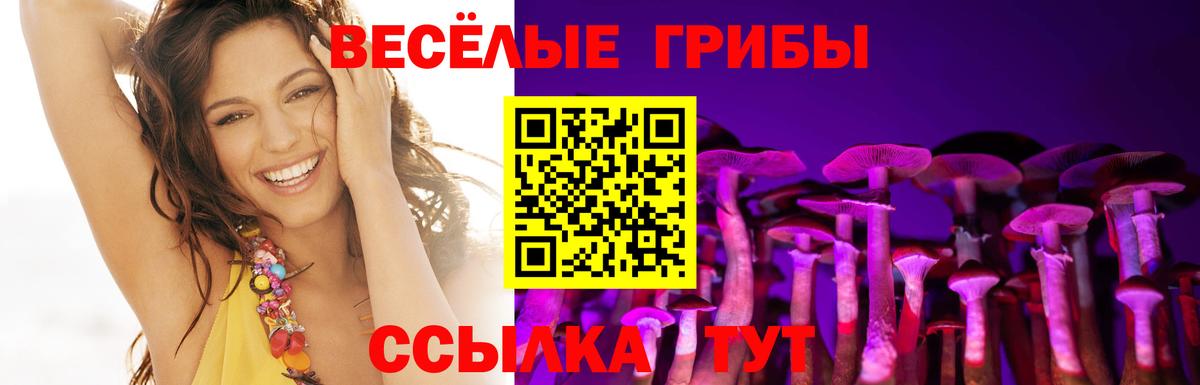 Галлюциногенные грибы MAGIC MUSHROOMS Североморск